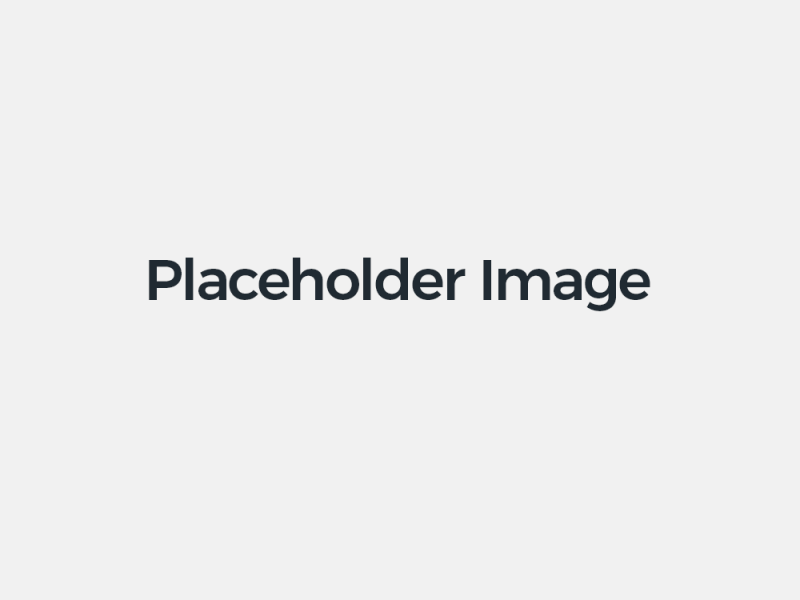 placeholder placeholder